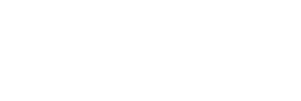 The Vinyl Academy logo